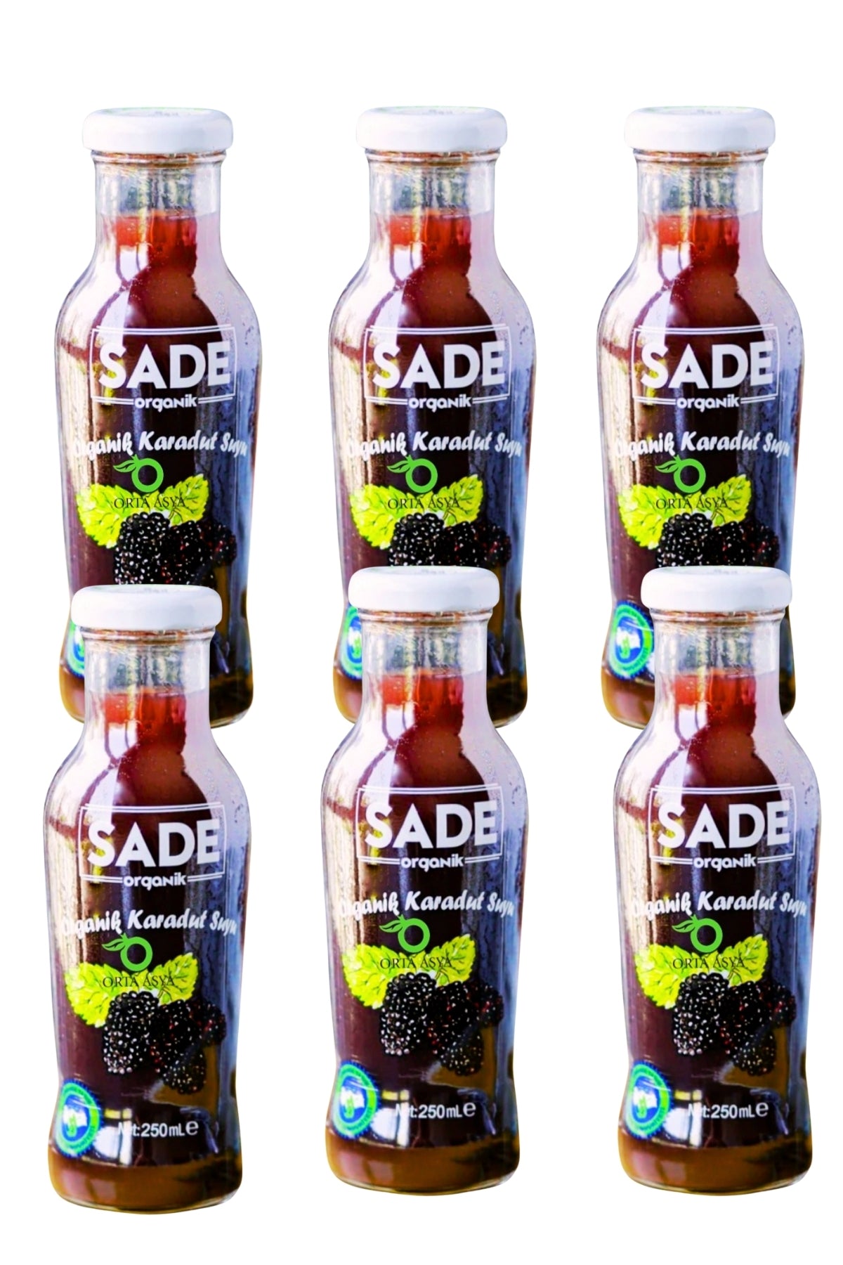 SADE ORGANİK KARADUT SUYU 250 ML 6 LI