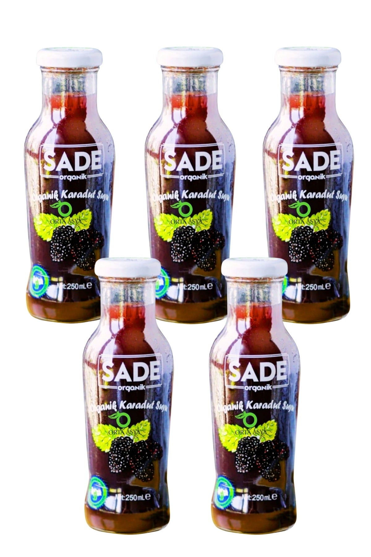 SADE ORGANİK KARADUT SUYU 250 ML 5 LI