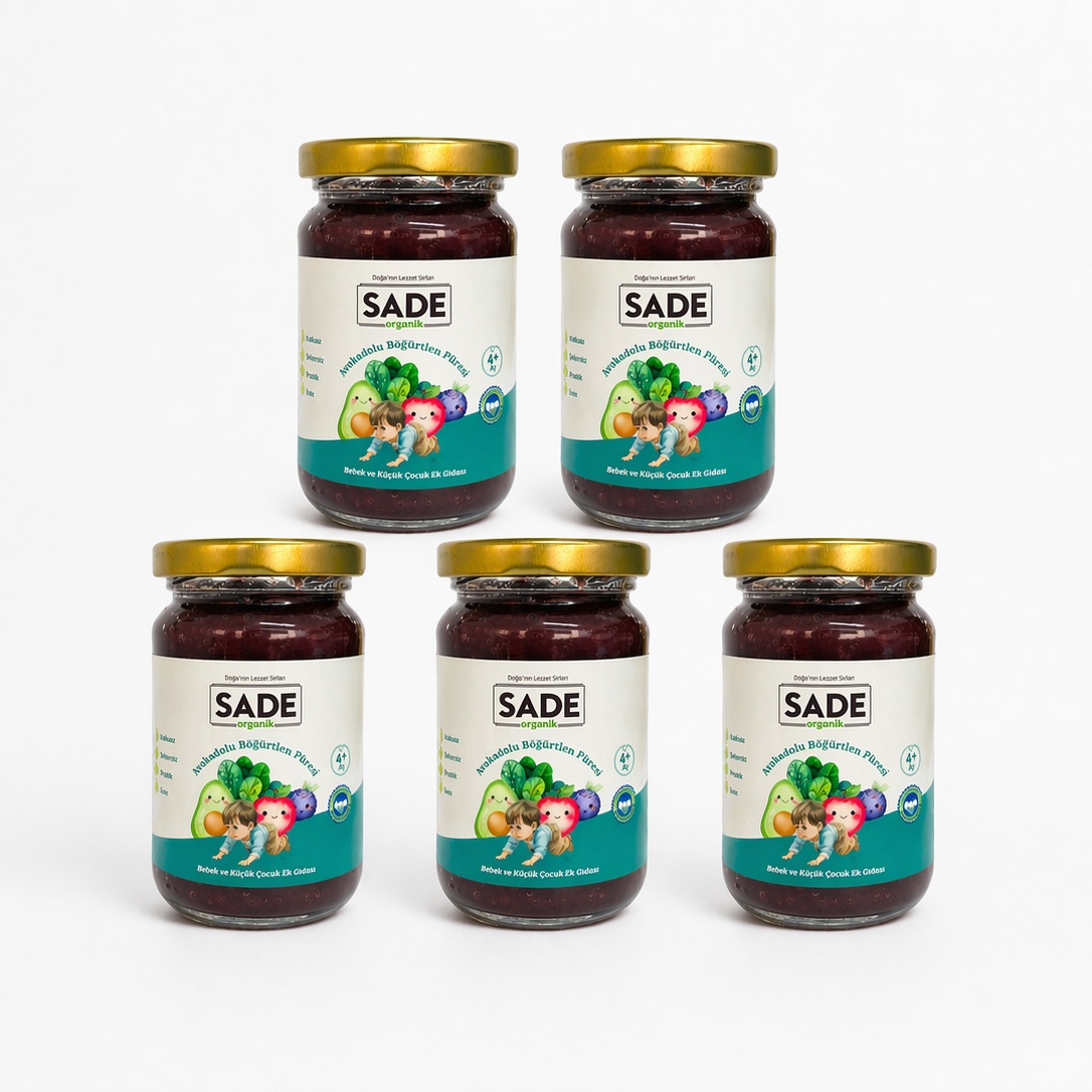 Sade Organik Avokado-Böğürtlen Püresi 100 g. 5'li Paket