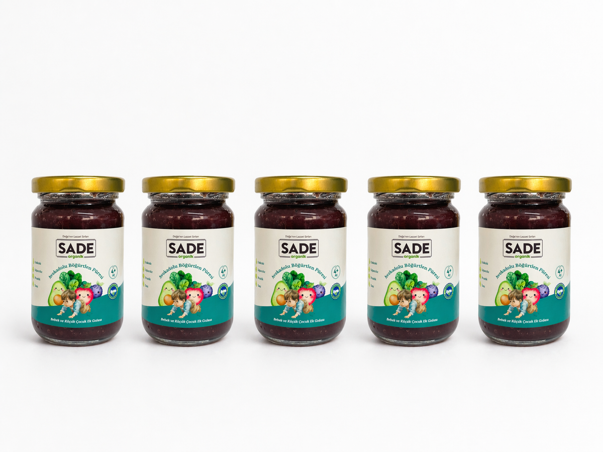 SADE ORGANİK AVAKADO BÖĞÜRTLEN PÜRESİ 100 GR. 5 Lİ